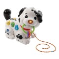 VT210404T-123ptitdalmatienvtechcover