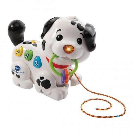1 2 3 ptit dalmatien