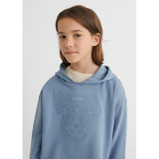Pull sweat bleu 10 ans