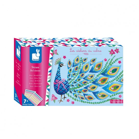 Set créatif Strass bel oiseau