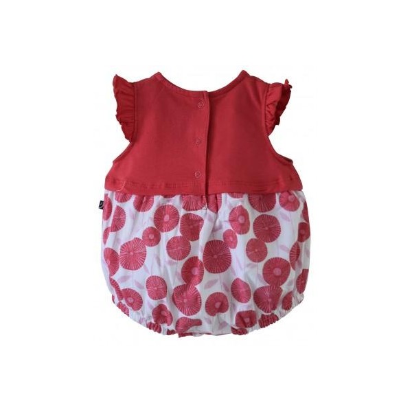 P-0065243-P-006524cover