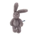 Petit lapin gris Arthur et Louison