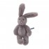 Petit lapin gris Arthur et Louison