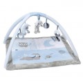 896514-nattou-sam-toby-tapis-d-eveil-avec-arches-80x70ccover