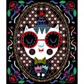 J07894-kit-creatif-scratch-art-chats (4)
