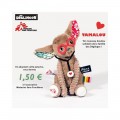 72900-ptipotos-fennec-msf (2)