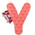 Lettre Y