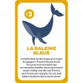 J02427-jeu-cherche-et-trouve-animaux-menaces (4)