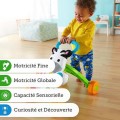 DLD96-fisher-price-mon-trotteur-zebre-parlant-6-mois-e (2)