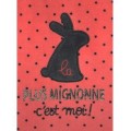 1223E659-P-005913_PYJAMA-BEBE-TOMETTE-IMPRIME-3_24-MOIS_Sucredorge-30