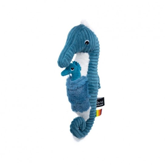Ptipotos hippocampe papa bébé bleu
