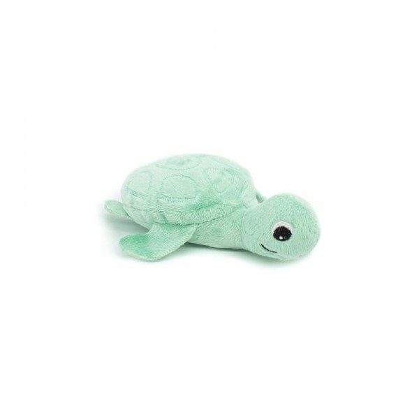 73503-ptipotos-tortue-menthelesdeglingoscover